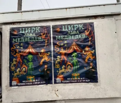 Нелегальные гастроли: башкирский цирк работал без необходимого разрешения
