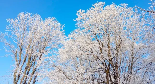 Зима передумала: башкирские синоптики раскрыли неожиданный сценарий декабря