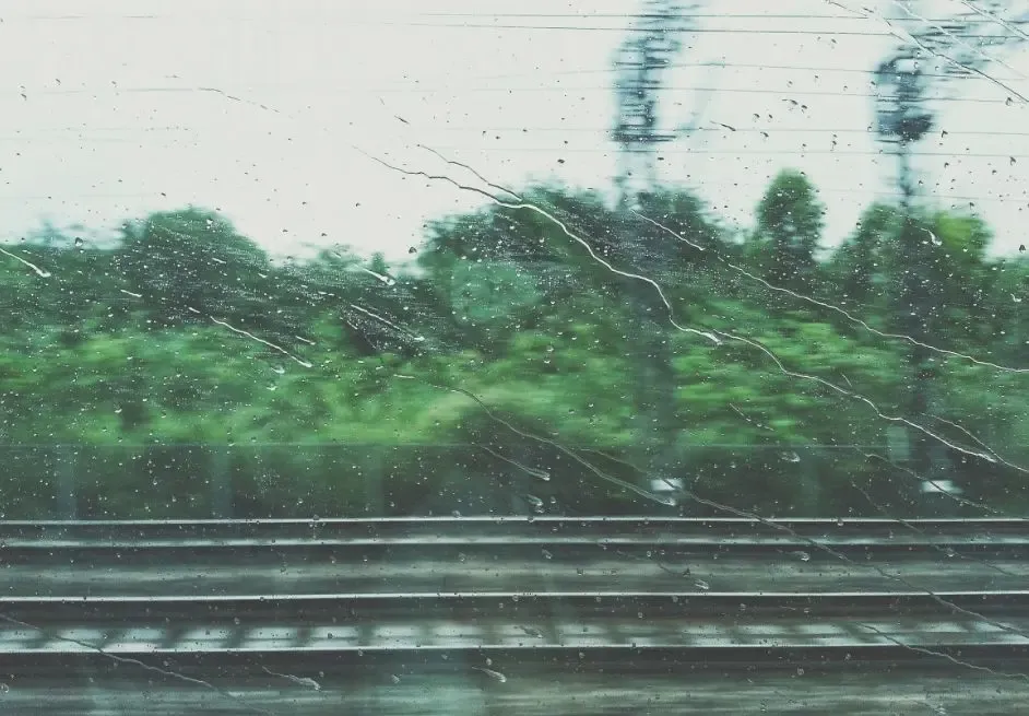 Фото: pxhere.com