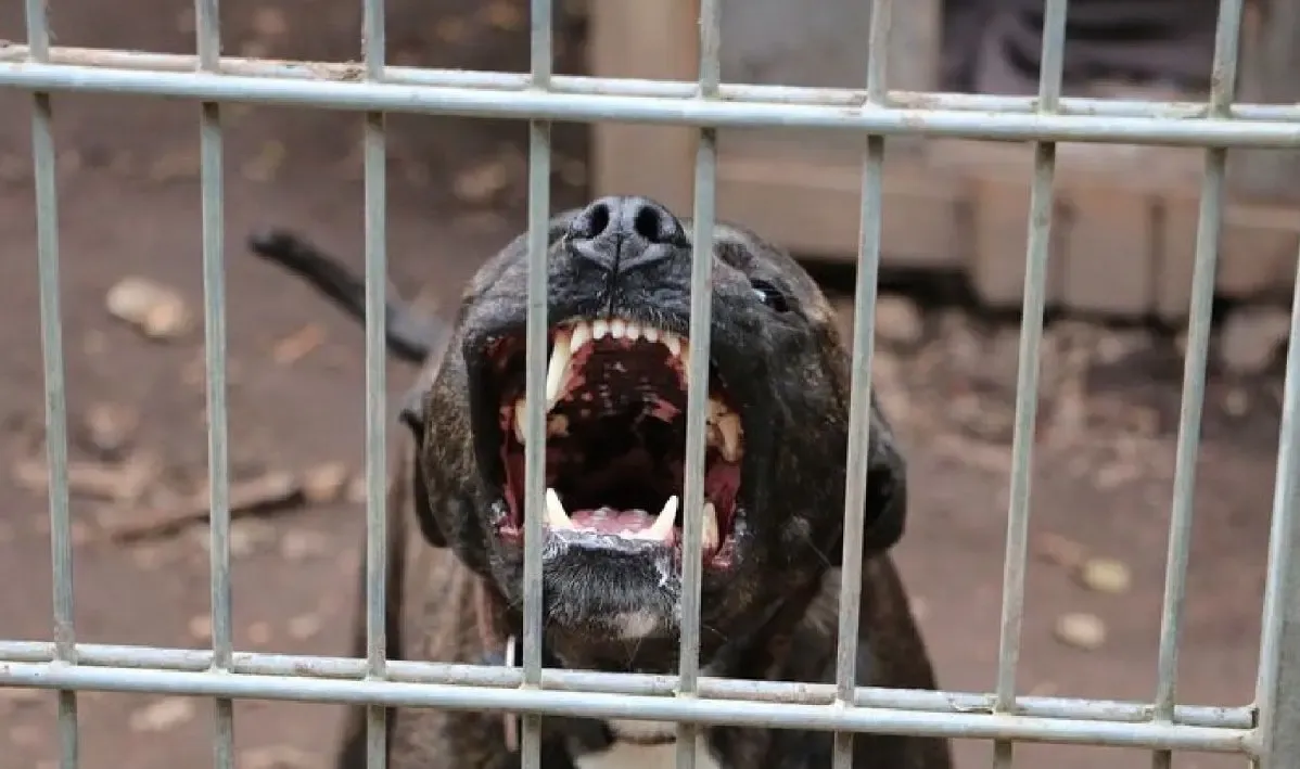 Фото: pxhere.com