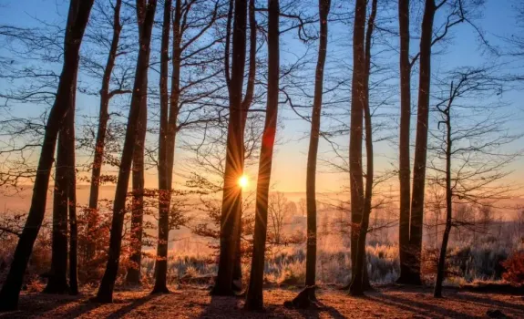 Скоро пронесется циклон: какую погоду ждать на выходных в Башкирии