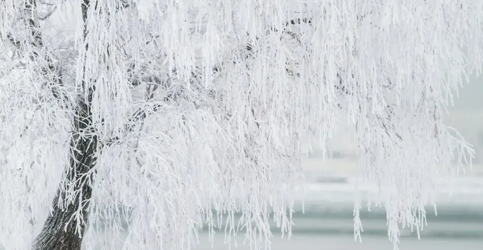 Фото: pxhere.com