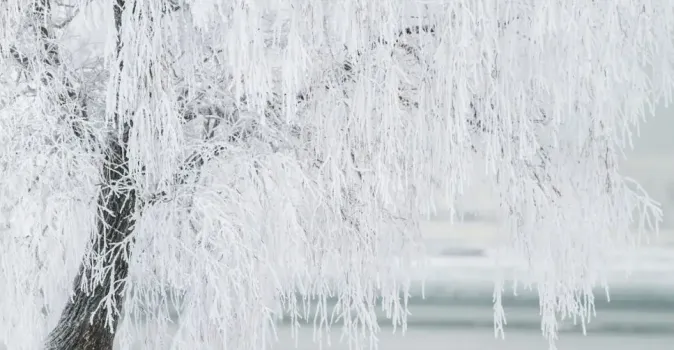 Надвигается холод из Арктики: о чем предупредили жителей Башкирии синоптики