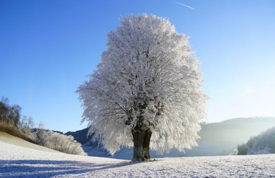 Снегопады и 25-градусные морозы: синоптики рассказали о погоде в Башкирии в начале недели