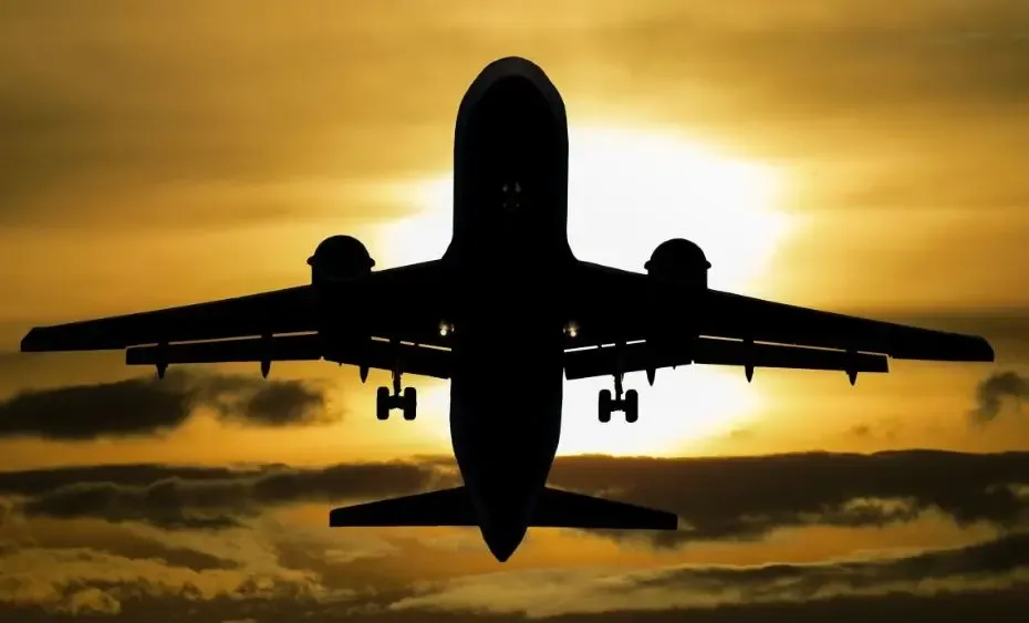 Фото: pxhere.com