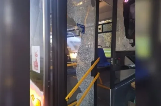 В Уфе пьяный пассажир закидал автобус камнями