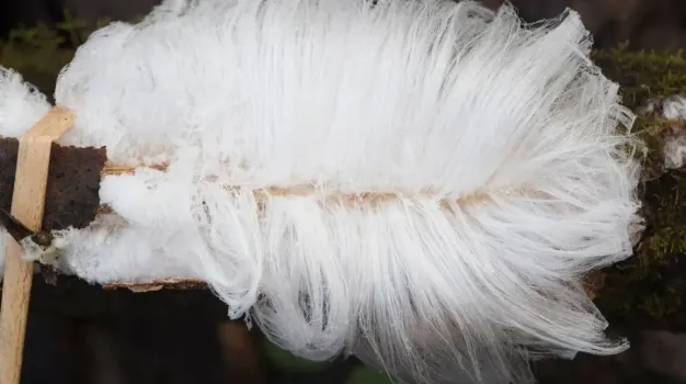 Уникальное природное явление обнаружили в Башкирии: что говорят о нем ученые