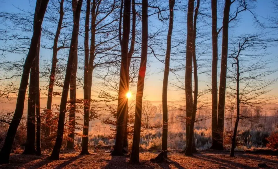 Фото: pxhere.com