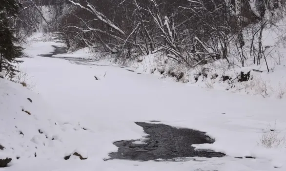 Температурные качели: к чему готовиться жителям Башкирии в январе