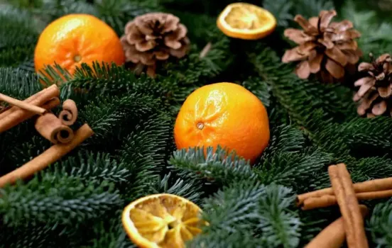 Тонны мандаринов прибыли в Башкирию из Турции: озвучены результаты проверки цитрусовых