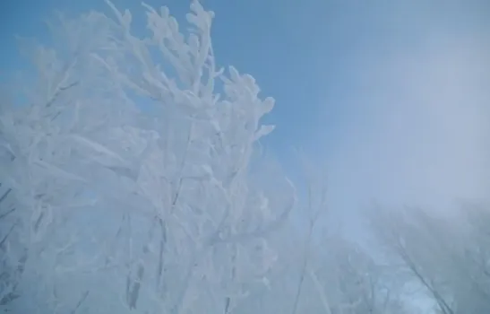 Крепкие морозы: жителям Башкирии озвучили новый прогноз