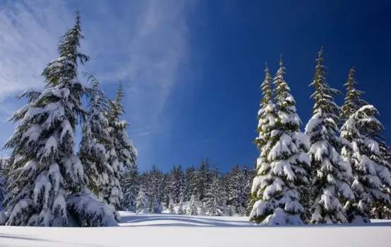 Аномально холодная погода: к чему готовиться жителям Башкирии