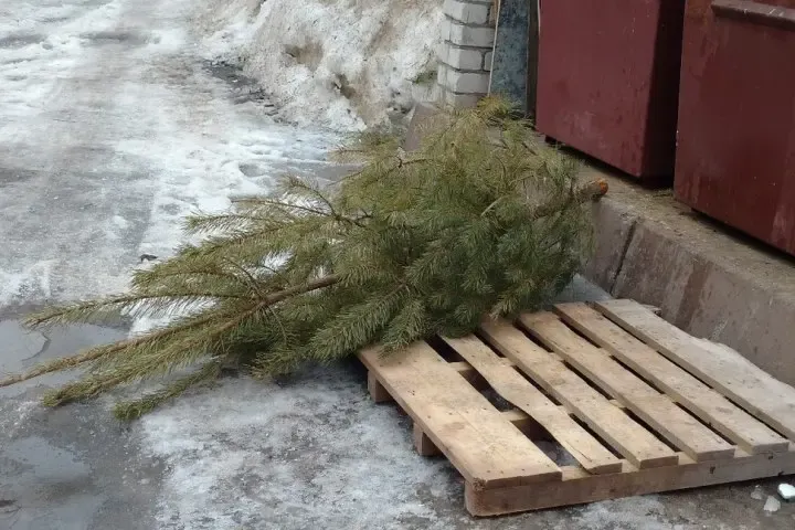 Психолог из Уфы рассказала о причинах праздничного выгорания и способах борьбы с ним