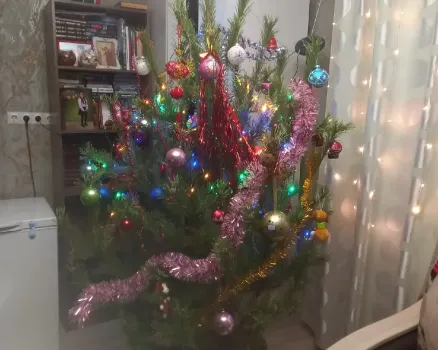 Обнародован график работы в Башкирии в предновогоднюю неделю