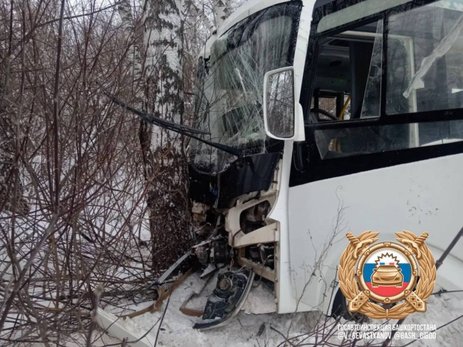 В Салавате автобус с пассажирами съехал в кювет и врезался в дерево