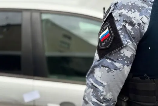 У жительницы Башкирии арестовали иномарку из-за 168 штрафов