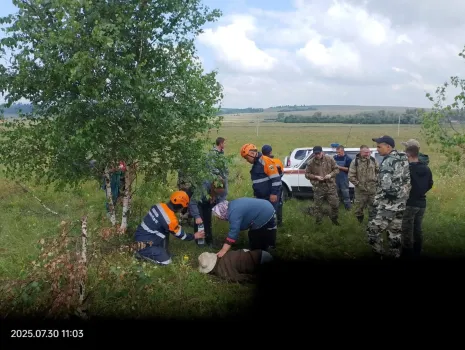 В Башкирии на мужчину в лесу напал бык