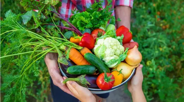 Башстат назвал топ-10 продуктов с самым большим снижением цен