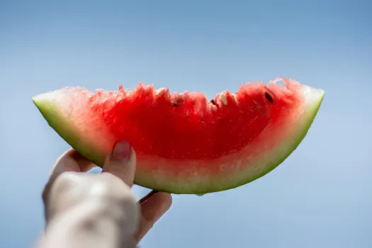 Как определить вкусный, сочный и сахаристый арбуз с первого взгляда: полезная шпаргалка для новичков