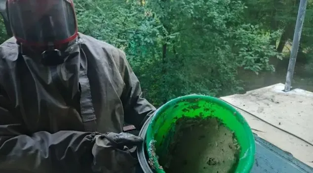 Жители Уфы жалуются на небывалое нашествие ос