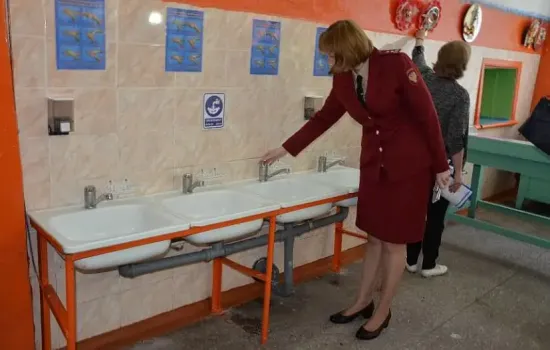 В Уфе проверили детсад после сообщений об искусанных блохами детях