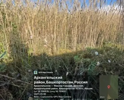 В Башкирии ввели карантин из-за опасного растения
