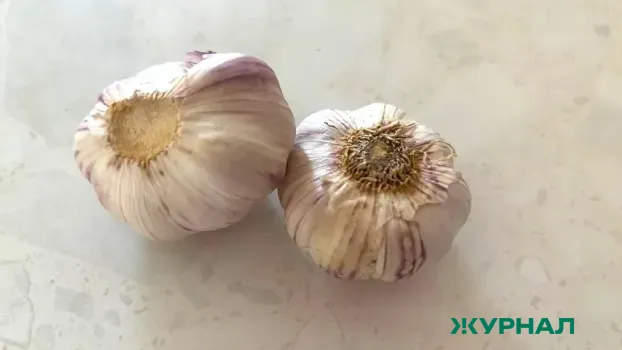 Эликсир из лимона и чеснока для нормализации давления за месяц