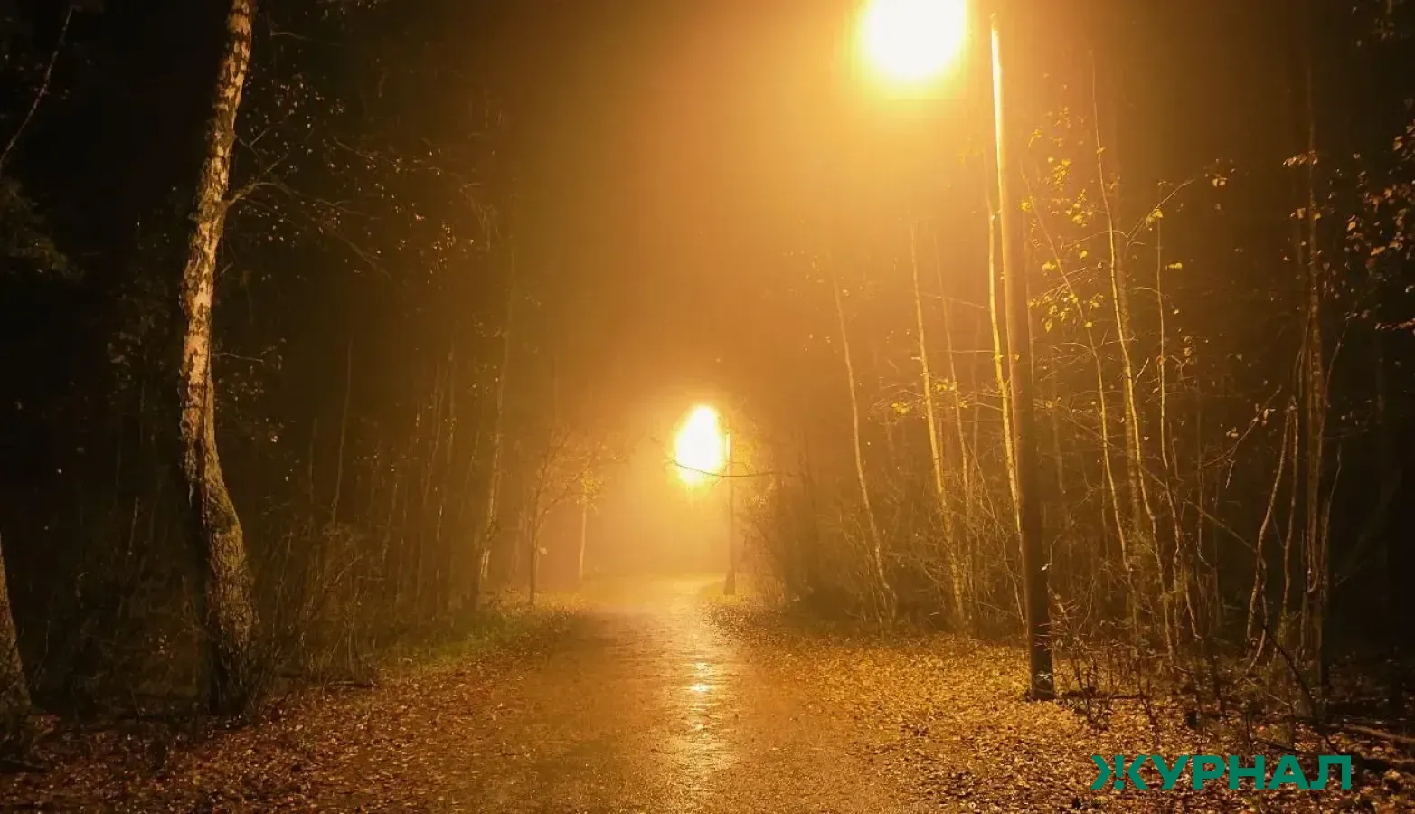 Погодные условия в Башкирии ухудшатся: гололедица и туман ожидаются 9 января