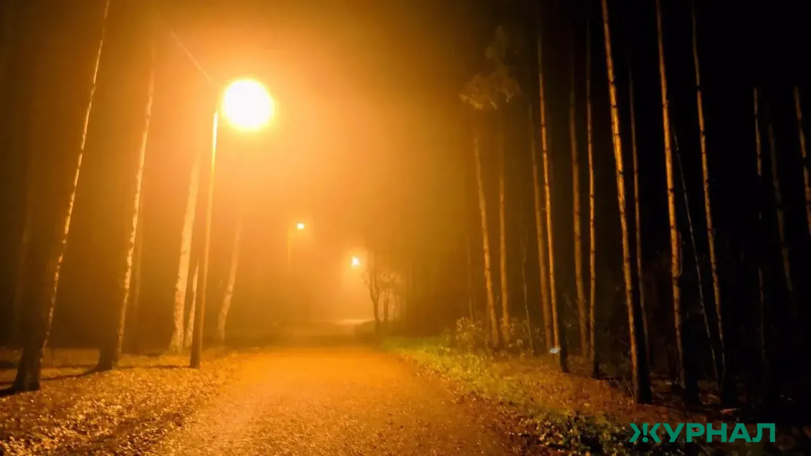 В Башкирии ограничено движение на трассе Р-240 из-за тумана