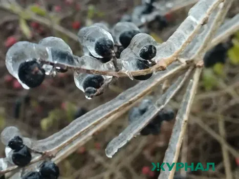 Снег и мороз ожидаются в Уфе 12 января