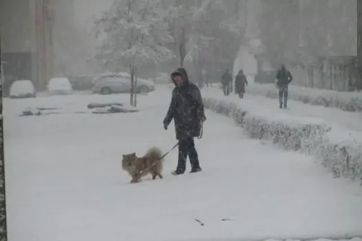 Погода в Уфе: похолодание и небольшой снег в начале недели
