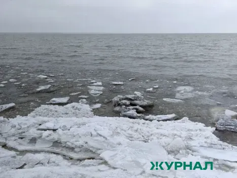 Из озера Узеть в Башкирии извлечены более тысячи туш овец