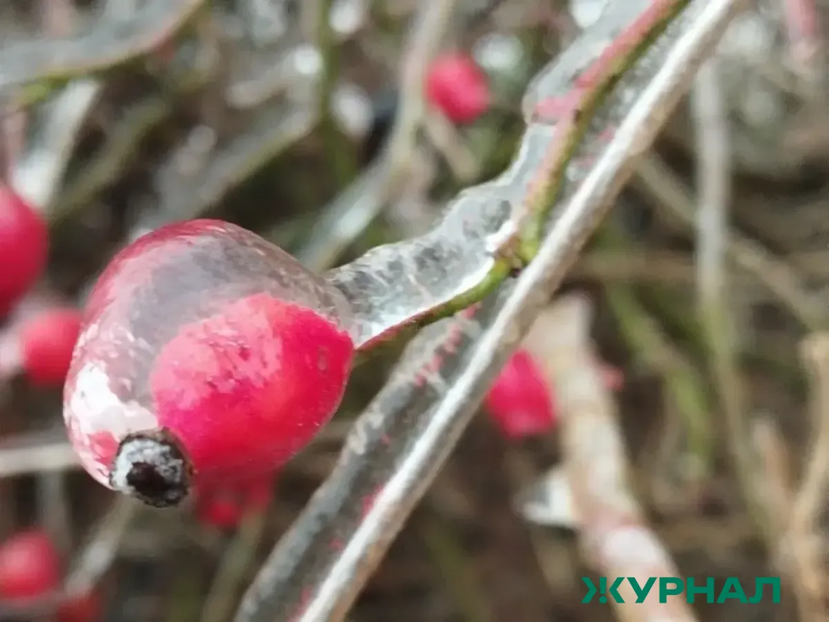В Башкирии ожидается похолодание и морозная погода во второй декаде января