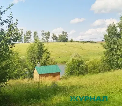 В Башкирии введут обязательное уничтожение инвазивных растений