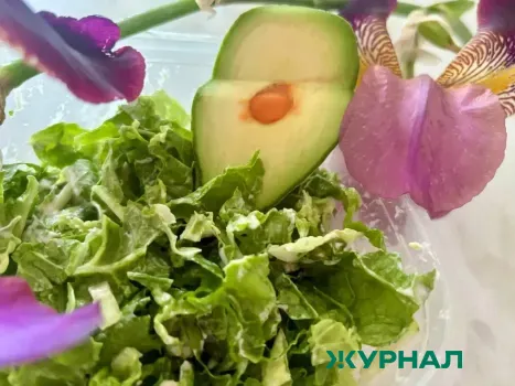 Метод &laquo;разгрузки&raquo; после праздников может привести к набору веса, предупреждает врач из Уфы