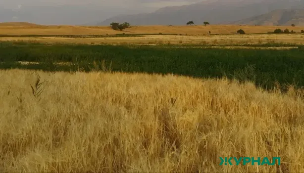 В Башкирии предложили увеличить штрафы за нарушения земельного законодательства