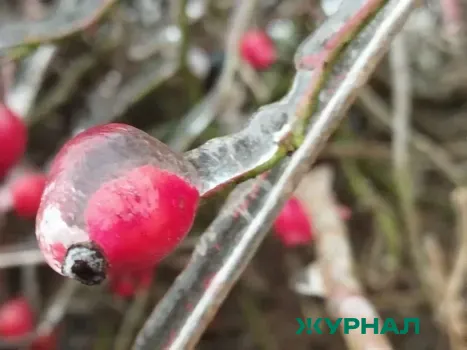 Морозы в Башкирии: ночные температуры до -24 градусов, снег на Крещение