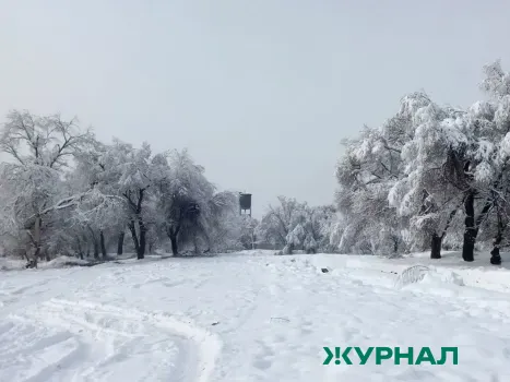 Штормовое предупреждение в Башкирии: ожидаются сильные порывы ветра