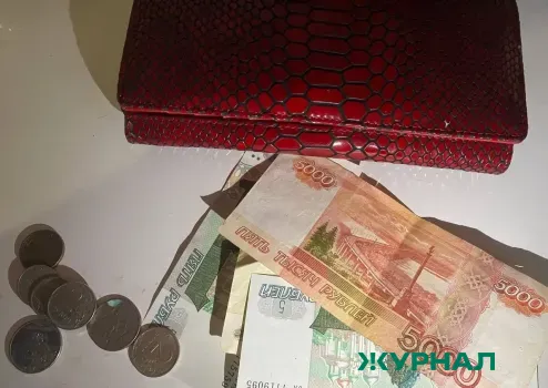 Башкирия получила 97 млн рублей на поддержку НКО в 2026 году