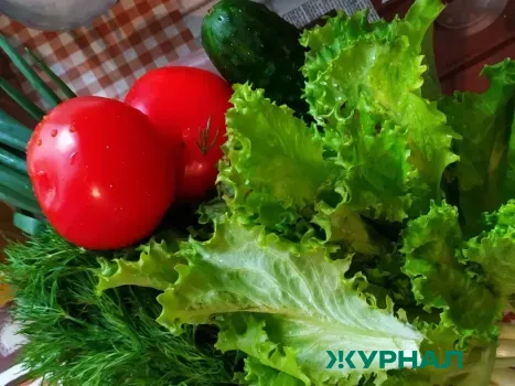 Защитите овощи от болезней с помощью йодинола: простой раствор для здорового урожая