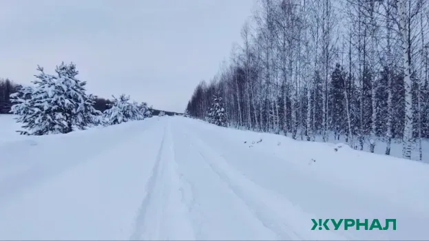 В Демском районе Уфы стартуют работы над тропой &laquo;Уфимского ожерелья&raquo;