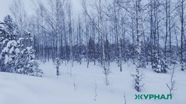 Погода в Уфе: 21 января ожидается мороз до 17 градусов