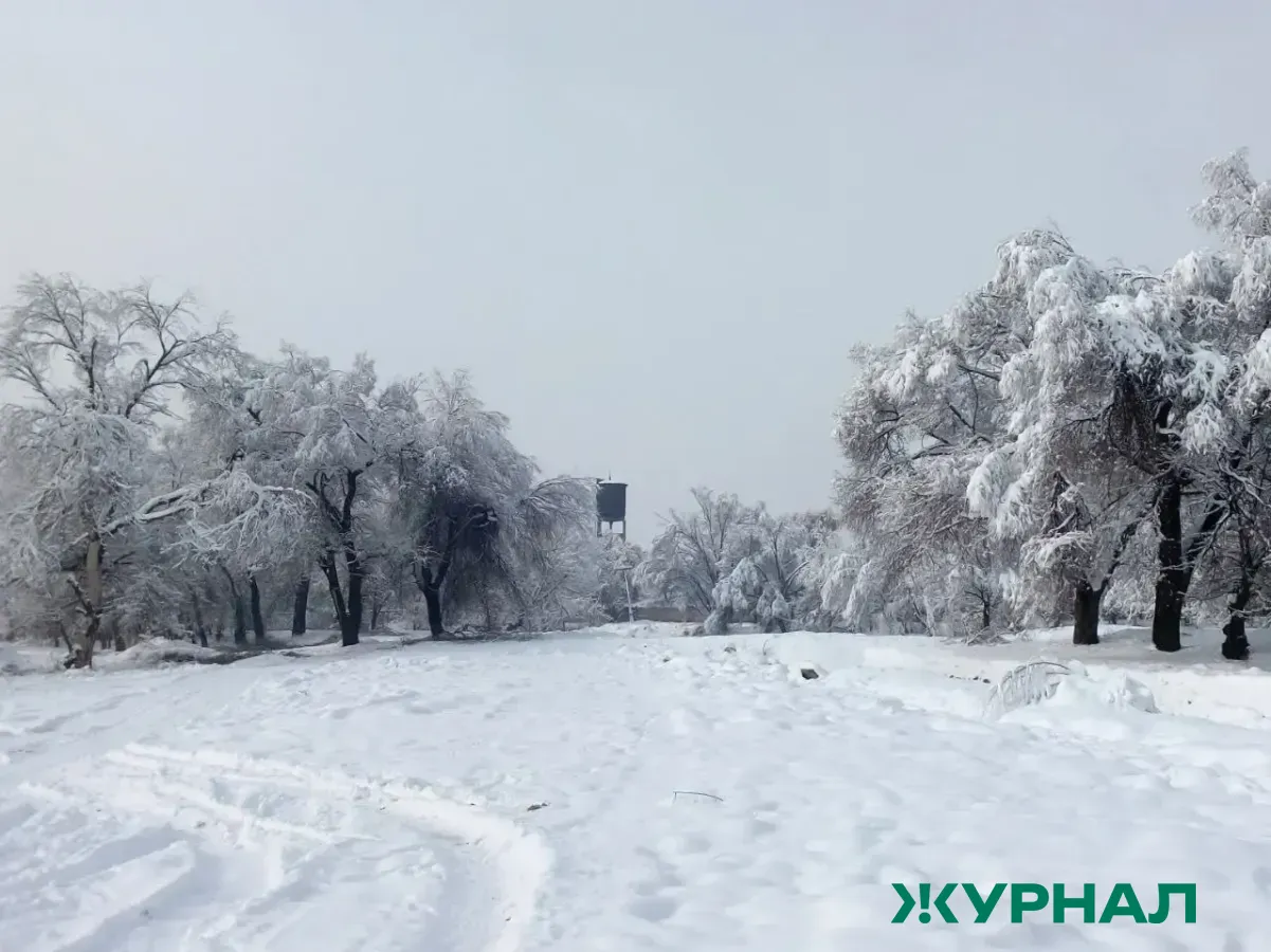 Погода в Уфе 28 января: мороз до минус 14 градусов и облачность