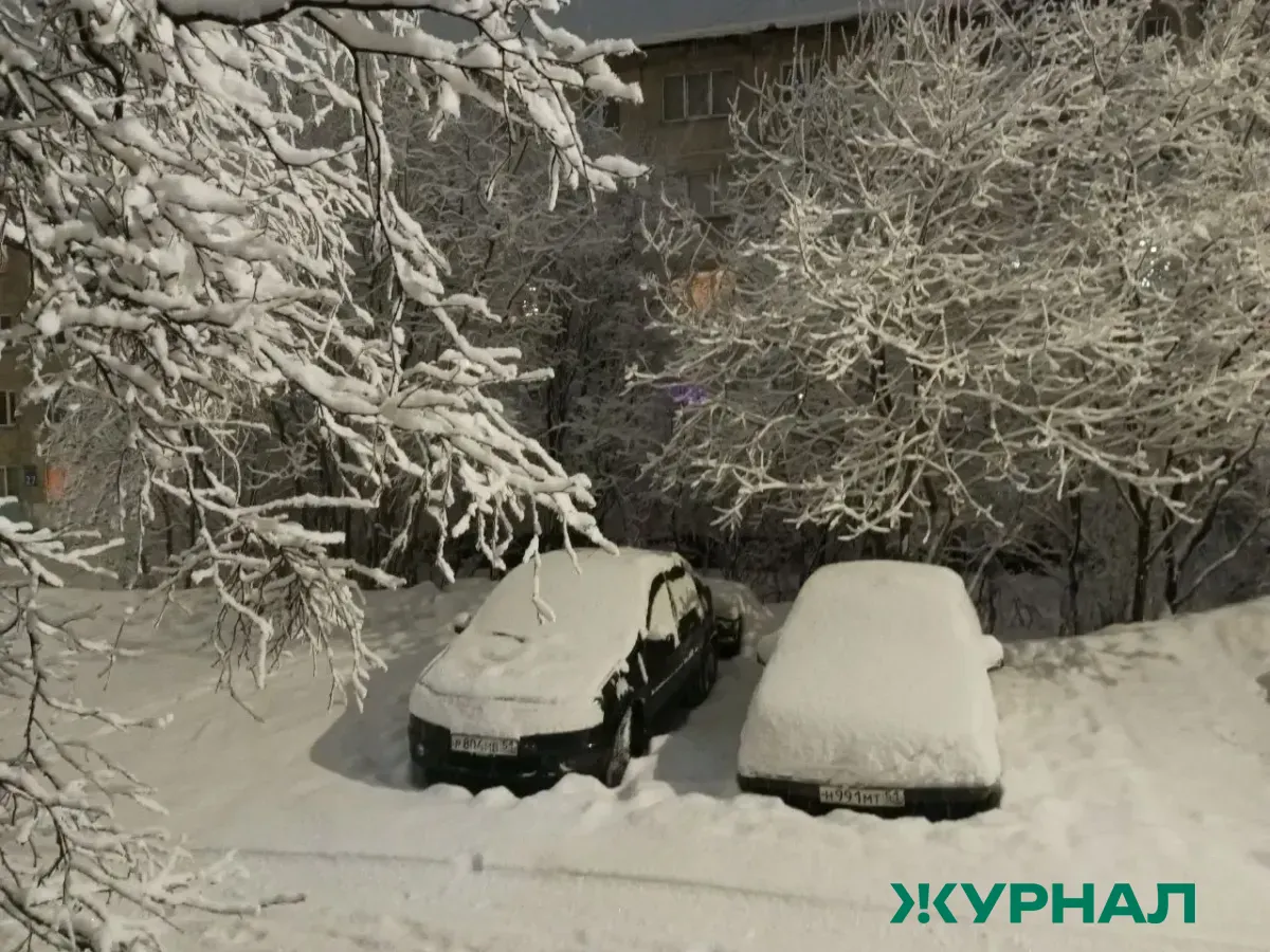 Снег и морозы ожидаются в Уфе 31 января