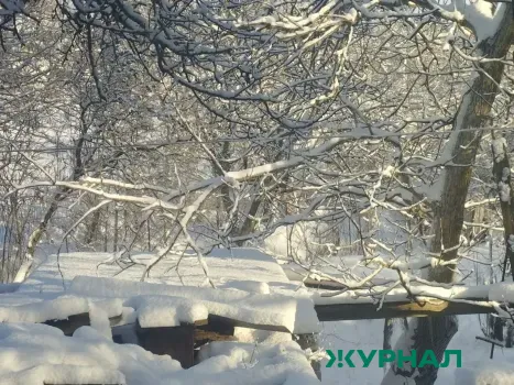 Погода в Уфе 2 февраля: снег и температура до минус 3 градусов