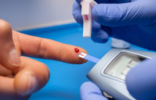 Черника: как заварить листья и ягоды для снижения сахара в крови