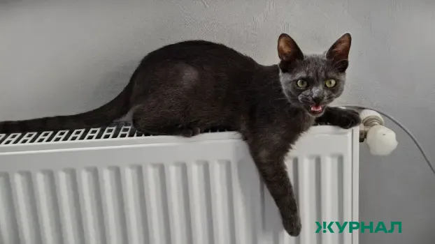 Режим подачи тепла в домах Башкирии зависит от температуры воздуха