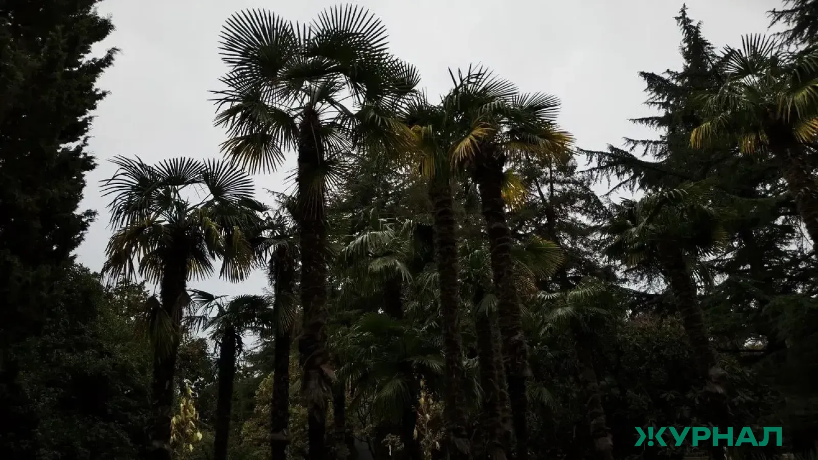 В Башкирии участников СВО включат в программу туристического сотрудничества с Абхазией