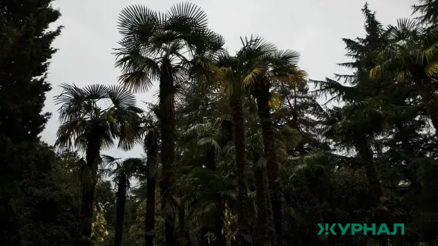 В Башкирии участников СВО включат в программу туристического сотрудничества с Абхазией