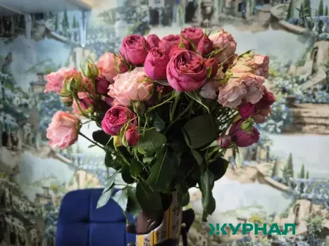 Уфимцы готовы потратить 6000 рублей на подарки ко Дню влюбленных